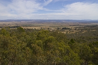 Cooma-10