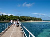 Cairns2009-131 : 2009 Holidays, Cairns, Green Island, Queensland, road trip, snorkelling