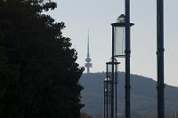  Looking west towards Telstra Tower