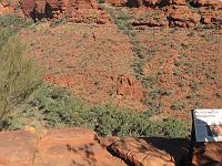  Looking down from a level of Kings Canyon