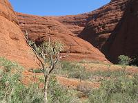  Kata Tjuta