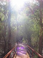  At uluru.  This is beautiful