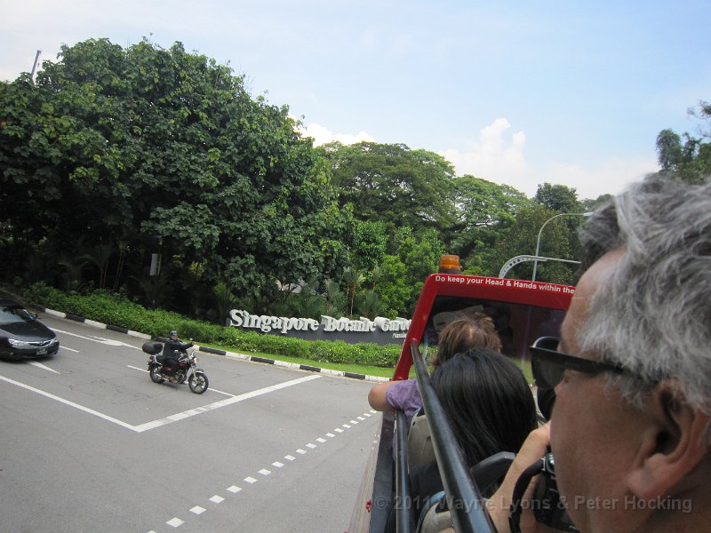 Singapore2011-86