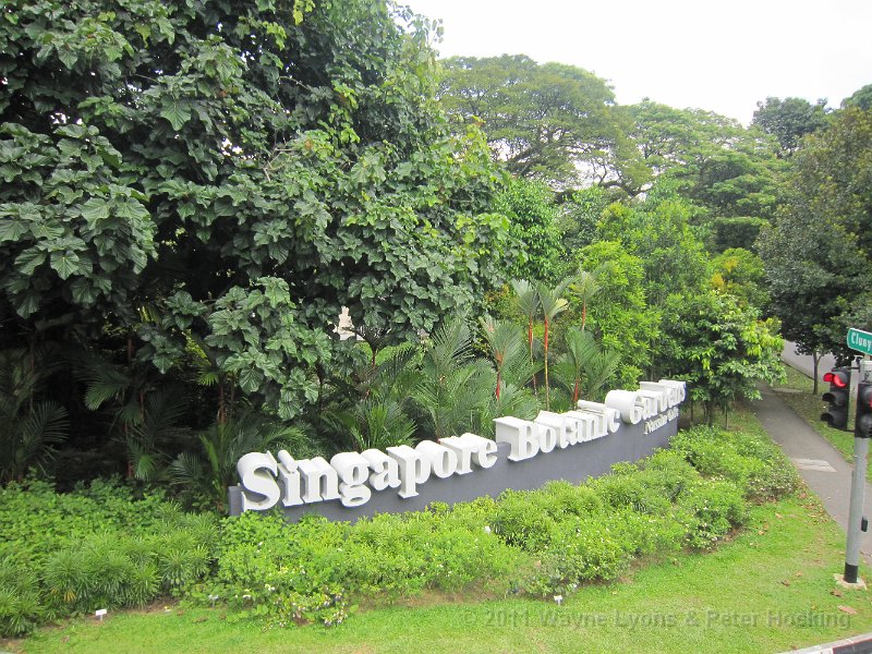 Singapore2011-90