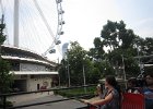 Singapore2011-53.jpg
