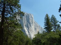 USA2016-401  Yosemite National Park : 2016, August, Betty, US, holidays