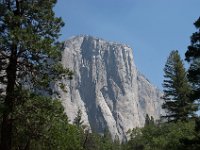 USA2016-470  Yosemite National Park : 2016, August, Betty, US, holidays