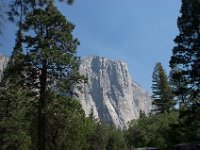 USA2016-474  Yosemite National Park : 2016, August, Betty, US, holidays