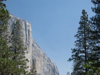 USA2016-482  Yosemite National Park : 2016, August, Betty, US, holidays