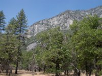 USA2016-488  Yosemite National Park : 2016, August, Betty, US, holidays