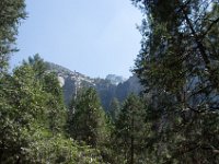 USA2016-501  Yosemite National Park : 2016, August, Betty, US, holidays