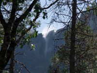 USA2016-509  Yosemite National Park : 2016, August, Betty, US, holidays
