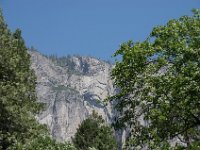 USA2016-516  Yosemite National Park : 2016, August, Betty, US, holidays