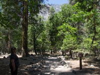 USA2016-530  Yosemite National Park : 2016, August, Betty, US, holidays
