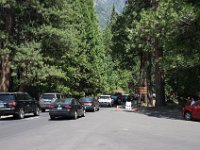 USA2016-553  Yosemite National Park : 2016, August, Betty, US, holidays