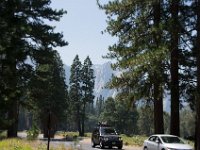 USA2016-560  Yosemite National Park : 2016, August, Betty, US, holidays