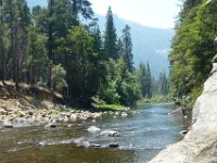 USA2016-561  Yosemite National Park : 2016, August, Betty, US, holidays