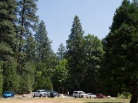 USA2016-564  Yosemite National Park : 2016, August, Betty, US, holidays