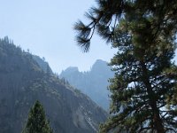 USA2016-571  Yosemite National Park : 2016, August, Betty, US, holidays