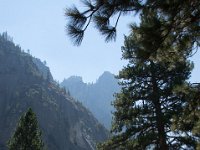 USA2016-572  Yosemite National Park : 2016, August, Betty, US, holidays