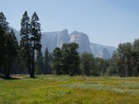 USA2016-576  Yosemite National Park : 2016, August, Betty, US, holidays