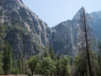 USA2016-609  Yosemite National Park : 2016, August, Betty, US, holidays