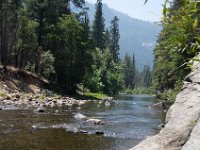 USA2016-619  Yosemite National Park : 2016, August, Betty, US, holidays