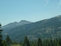 USA2016-724  On the way from Sonora to Reno through Stanilaus National Park : 2016, August, Betty, US, holidays