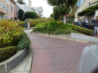 USA2016-1643  Down San Francisco's most crooked street, (Lombard Street), with Ken & Adella : 2016, August, Betty, US, holidays