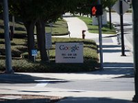USA2016-197  Google's head office : 2016, August, Betty, US, holidays